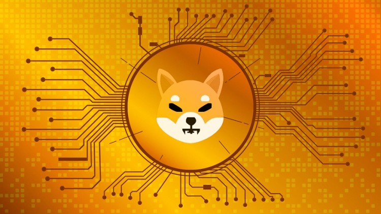 未來的柴犬 (SHIB) 代幣的潛在回報(bào)