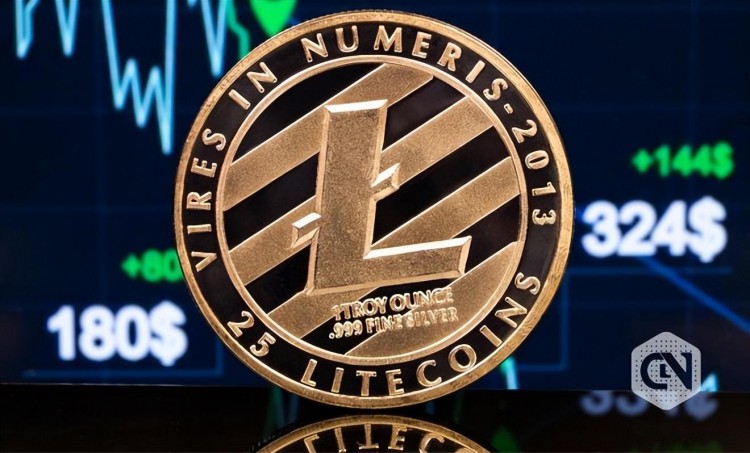 500萬(wàn)長(zhǎng)期持幣者，Litecoin(LTC)會(huì)是價(jià)格複蘇的催化劑嗎？