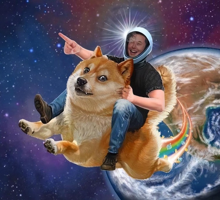 投資者可以考慮逢低買(mǎi)入狗狗幣（DOGE），但風(fēng)險(xiǎn)是什麼？