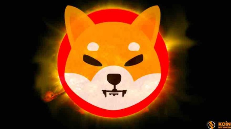 SHIB市場波動(dòng)回撤，時(shí)候加倉了嗎？Shiba Inu上週表現(xiàn)及未來走勢展望。