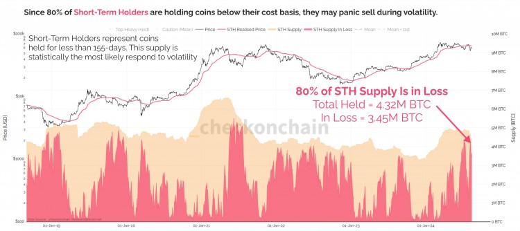 比特幣信仰不動(dòng)搖：盡管暴跌21%74%巨鯨持倉(cāng)穩(wěn)如泰山